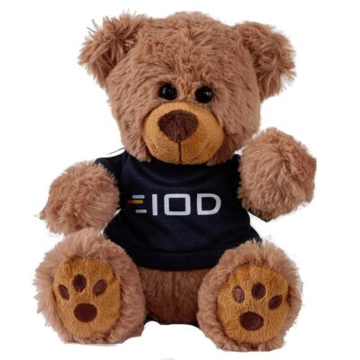 Plush Bear w/ Embroidered Paws and T-Shirt-1